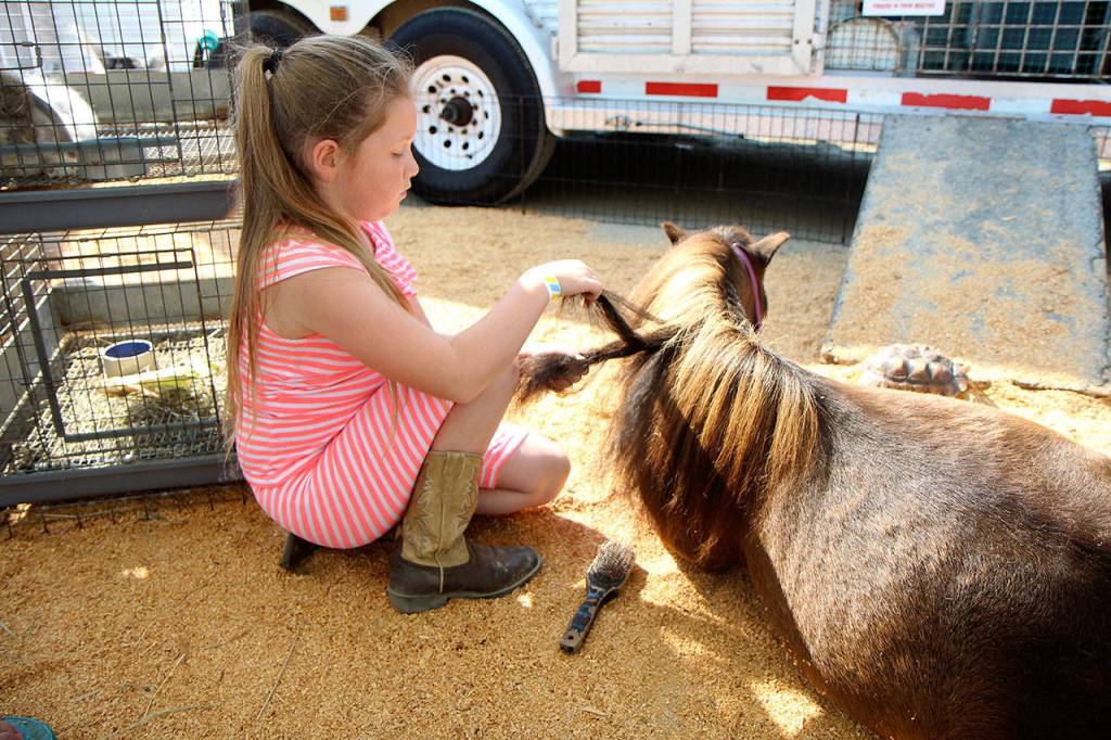 Michael Lang | The Vidette                                Kylee Simpson, 7, of Aberdeen, braids Rosebuds hair Wednesday, Aug. 8, 2018, at the Grays Harbor County Fair in Elma. The fair runs through Sunday.