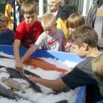KAT BRYANT | THE DAILY WORLD                                A popular attraction at the Westport Seafood Festival is a display of the many fish species that can be found off the coast.
