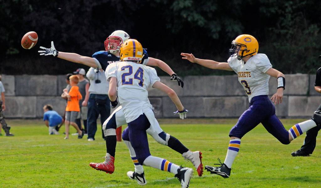 A pass lands just out of reach of Pe Ell-Willapa Valley receiver Sam Winter in a game against Concrete High School on Saturday at Willapa Valley High School. (Ryan Sparks | The Daily World)