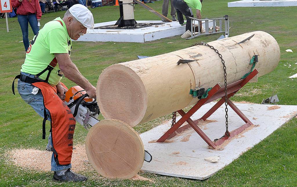 Roaring saws, sawdust clouds highlight annual Loggers Playday