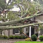 Florence death toll rises to 19, including three young children, Carolinas officials say