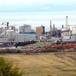 McKinley Paper: Ediz Hook mill to be operating in a year