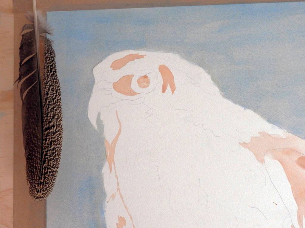 A work in progress, with a hawks feather as a guide.