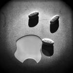 (Guy Reynolds | Dallas Morning News) 1/30/18  The last dose of capecitabine a.k.a. Xeloda (oral poison) for this week. I take six a day for seven days beginning the day of chemotherapy infusion. Then two weeks without. Then do it again. I will likely do chemo until I die. They dont think Ill ever be cancer-free. Living the dream.