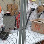 Louis Krauss | Grays Harbor News Group                                Workers from the Restoration Management Company clean helmets and hats recovered from the Armory building in Aberdeen on Wednesday.