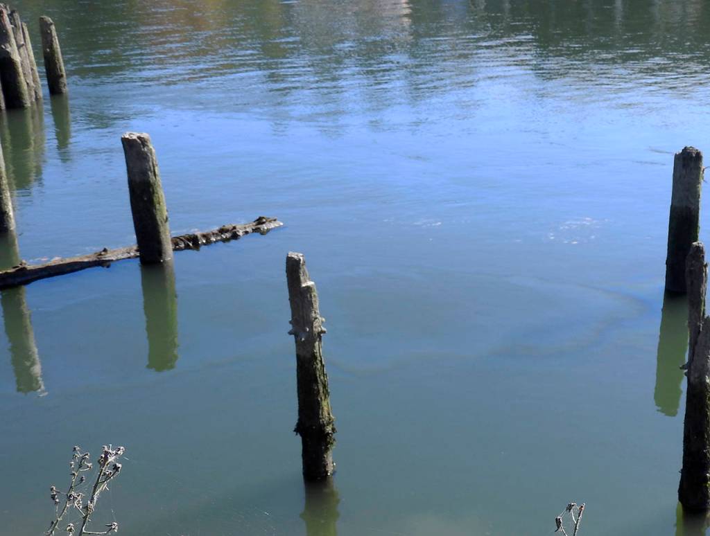 Kat Bryant | Grays Harbor News Group                                A noticeable sheen was emanating from sunken vessels on the Hoquiam River Wednesday afternoon. Department of Ecology spill response crews were on hand soon after the foul-smelling sheen was detected around 1 p.m.