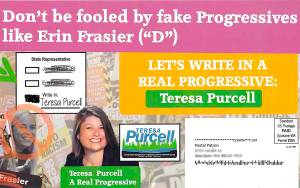 The mailer sent to 19th Legislative District voters urging them to write in Teresa Purcell in place of Erin Frasier in Frasiers race against incumbent Republican Jim Walsh.