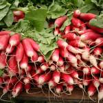 Plant a radish, get a radish … never any doubt