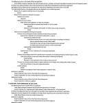 This is the flow chart used by Aberdeen Public Works to determine if people are allowed to live at the Chehalis riverfront camps, and if service agencies or individuals are allowed to enter.