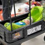 After trunk-or-treating in downtown Aberdeen in the morning and at the mall in the afternoon, this little raptor is catching a nap.