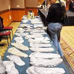 Track down latest info at Sasquatch Summit