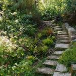 (Beth Day Waters) Steps to the succulent garden in the San Francisco Botanical Garden.