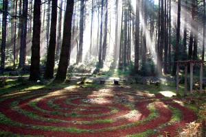 Creating a sanctuary: Breathing peace into this challenged world