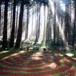 Photos by Beth Day Waters                                ABOVE: A peaceful outdoor labyrinth walk near Bandon, Oregon.                                RIGHT: Steps to the succulent garden in the San Francisco Botanical Garden.