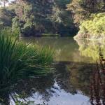 (Beth Day Waters) A pond in San Franciscos Golden Gate Park.