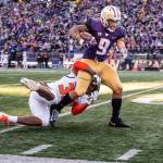 Oregon State safety Jalen Moore is the only man who can keep Washingtons Myles Gaskin (9) out of the end zone as Gaskin rushes for 54 yards, setting up the Huskies first score of the game on Saturday, Nov. 17, 2018, at Husky Stadium in Seattle. Washington won, 42-23. (Dean Rutz/Seattle Times/TNS)