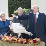 Talking Turkey: President jabs at Democrats and recounts during annual pardoning ceremony