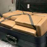 Drug dealer’s worst nightmare — Suitcase full of $1.3 million worth of cocaine seized at Kennedy Airport