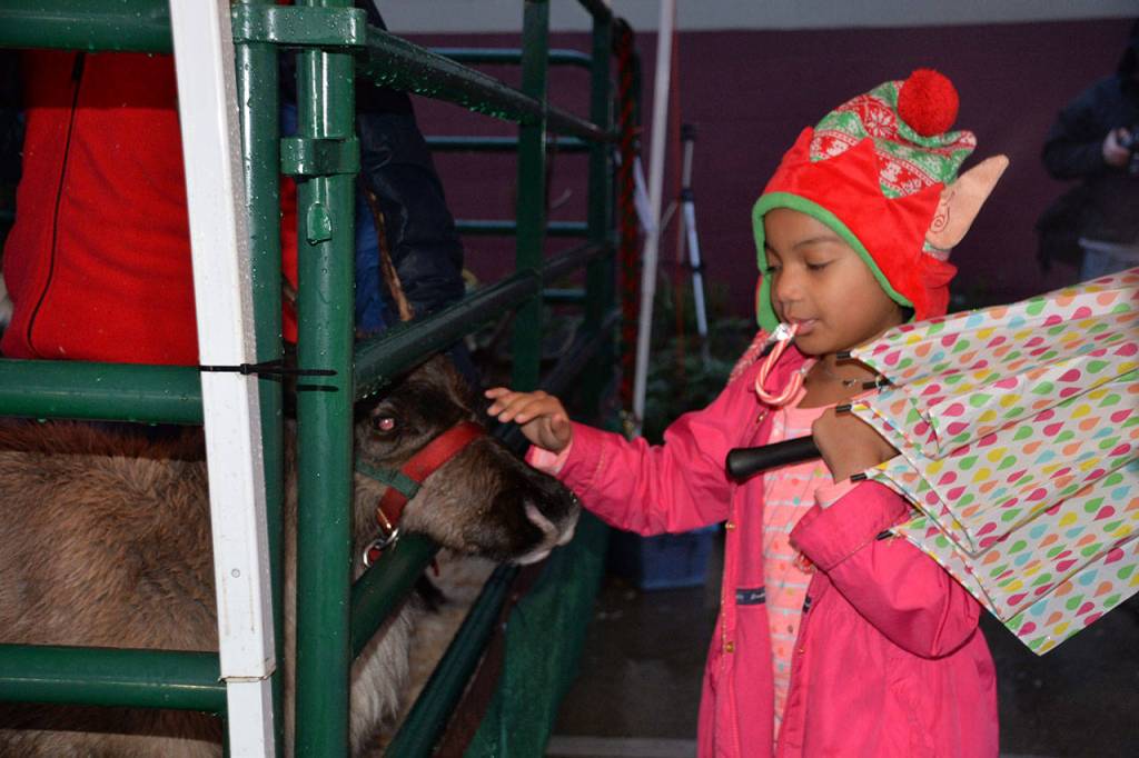 (Louis Krauss | Grays Harbor News Group)                                Taehler Vaughn stares at a reindeer at the Tesla charging lot in Aberdeen.