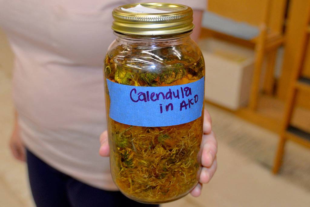 (Louis Krauss | Grays Harbor News Group) Julie Kennedy holds up a jar of oil filled with calendula plants, also known as marigold.