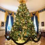 Official White House Photo by Chuck Kennedy                                 The 2010 White House Christmas tree illustrates how the grower has sheared the tree to enhance its symmetry.