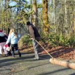 Of Christmas candles and Yule logs