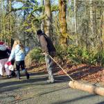The annual Yule Log Festival, sponsored by the Friends of Schafer & Lake Sylvia State Parks, dates back to the 1950s. The free event will take place Sunday at 1 p.m. at Schafer State Park.
