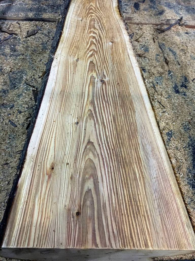 This half-milled cedar log from the Moclips site shows a nice grain.