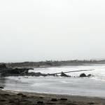 Angelo Bruscas | Grays Harbor News Group                                Stormy conditions at Damon Point earlier this week.