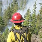 State agency wants to increase prescribed burns for healthier forests