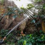 In Mexico City’s magic garden, there is only one rule: No talking