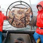 COURTESY DEPARTMENT OF FISH AND WILDLIFE The Westport Marina ranked 11th in the nation for seafood landings in 2017.