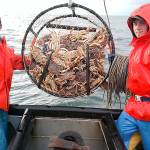 COURTESY DEPARTMENT OF FISH AND WILDLIFE The Westport Marina ranked 11th in the nation for seafood landings in 2017.