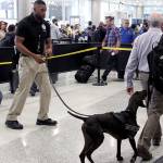 TSA to deploy more floppy-ear dogs because they’re less scary than pointy-ear dogs