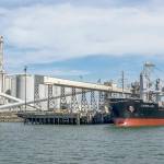 PHOTO BY MARC STERLING                                Terminal 2 at the Port of Grays Harbor.
