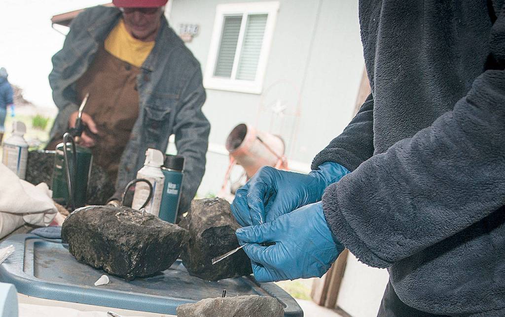MARCY MERRILL PHOTO                                Volunteers place small transmitters into cobblestones as part of a project to track the movement of the dynamic revetment being used to protect the North Cove shoreline from erosion.