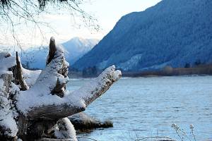 Flakes on the lake