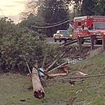 COURTESY WASHINGTON STATE PATROL                                A power pole and tree were taken out by an SUV on eastbound Highway 12 in Central Park Tuesday afternoon, knocking out power to more than 7,000 PUD customers from Aberdeen to Montesano.