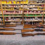 These firearms at Clarks All-Sports in Colville qualify as assault rifles under the law. – Photo courtesy of Statesman-Examiner