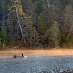 Forecast prompts Quinaults to halt 2019 commercial sockeye fishery