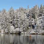 Forecast prompts Quinaults to halt 2019 commercial sockeye fishery