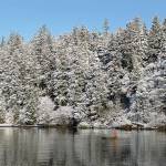 Forecast prompts Quinaults to halt 2019 commercial sockeye fishery