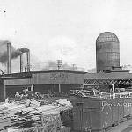 February in Cosmopolis around 1900