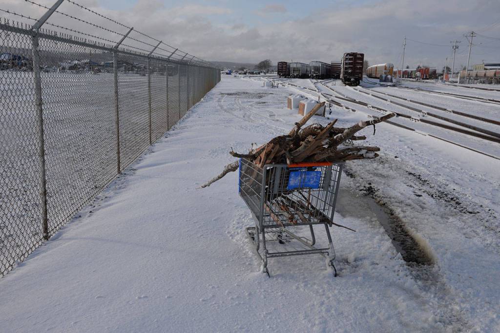 (Louis Krauss | Grays Harbor News Group) A cart of wood, presumably for firewood, sits near the homeless encampment along the Chehalis River in Aberdeen Saturday.
