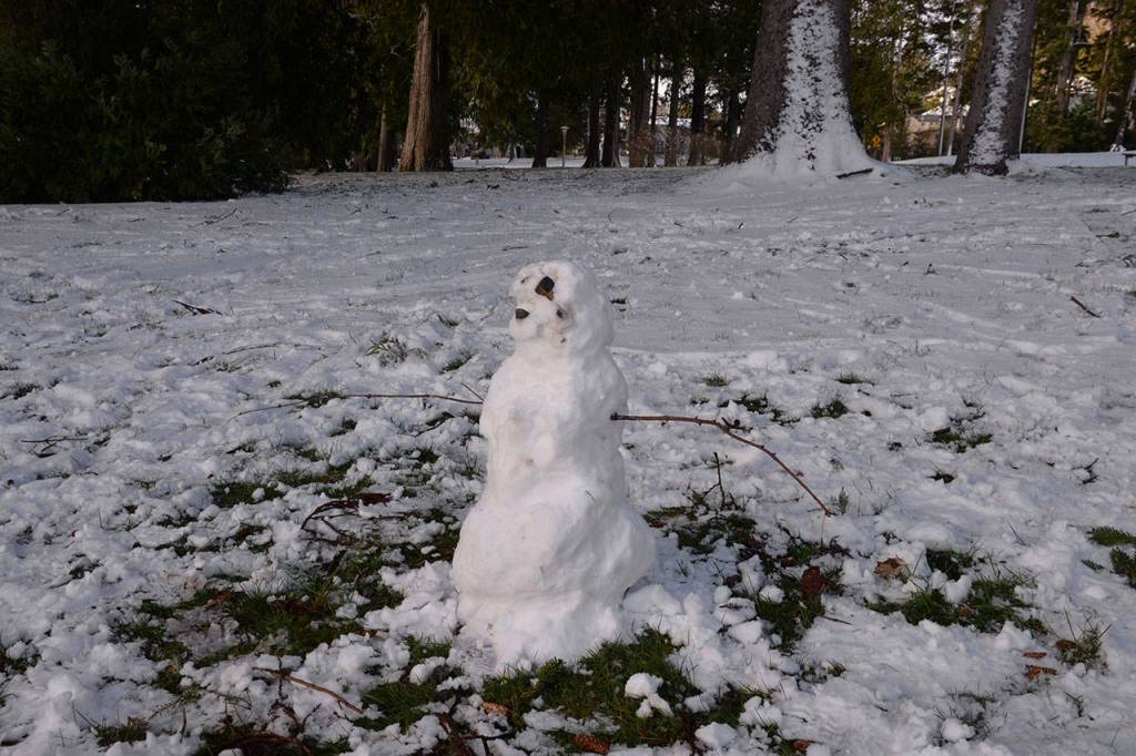 (Louis Krauss | Grays Harbor News Group) A snowman made with the few inches of snow available at Sam Benn Park.