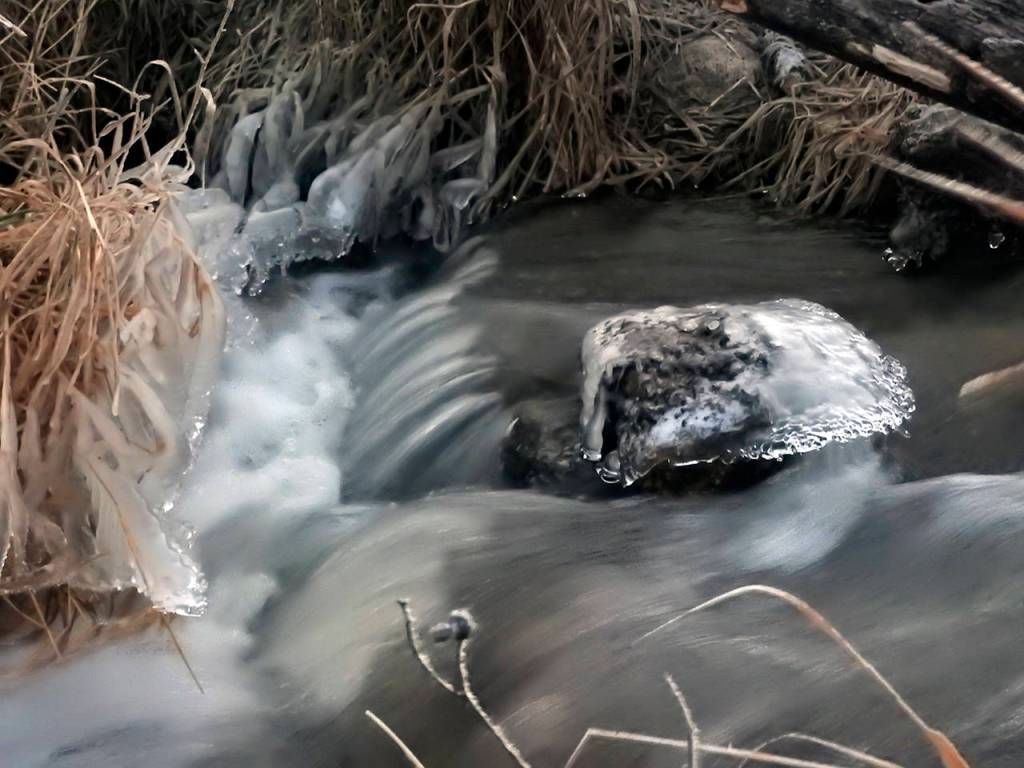 (Kat Bryant) In this fast-moving stream, ice began where the water splashed on the rocks and reeds, then built outward from there.