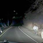 COURTESY PHOTO                                A 59-year-old Montesano man flees from police after local law enforcement used spike strips to disable the stolen vehicle he was driving on State Route 107 late Friday. The man was arrested and booked into the Grays Harbor County Jail for possession of a stolen vehicle, eluding and resisting arrest.