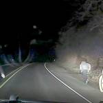 COURTESY PHOTO                                A 59-year-old Montesano man flees from police after local law enforcement used spike strips to disable the stolen vehicle he was driving on State Route 107 late Friday. The man was arrested and booked into the Grays Harbor County Jail for possession of a stolen vehicle, eluding and resisting arrest.