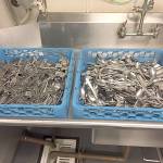 Fifth-graders were ready to make switch to metal utensils