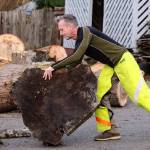 Shane McDaniel moves wood at his home in Lake Stevens in January. (Kevin Clark / The Herald)
